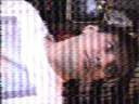 TN_DO1BA3