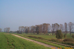 DCP01439