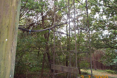 DCP00359