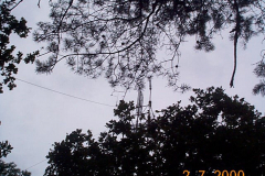 DCP00361