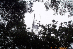 DCP00362