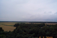 DCP00384