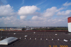 DCP01341