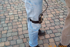 DCP01099
