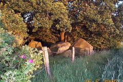 DCP00105