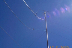 DCP00146