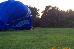 DCP04607