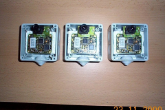 DCP01537