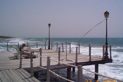 DCP03960