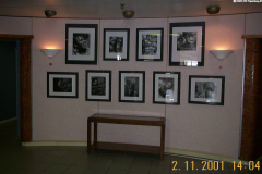 DCP_4889