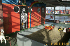 DCP_4890