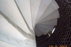 DCP05264