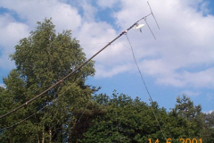 DCP04361