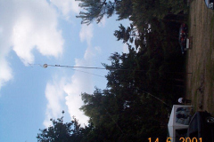 DCP04386