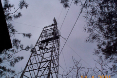 DCP03733
