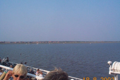 DCP06203