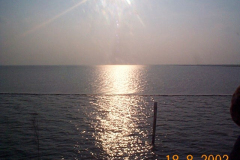 DCP06205