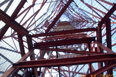 DCP06553