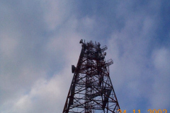 DCP06557