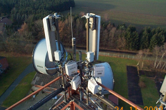 DCP06565