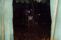 DCP05984