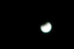 IMG_0656