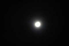 STA_0654