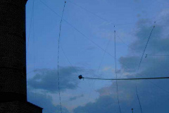 PICT0710