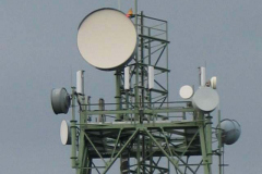 IMG_2236