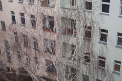 100_0521