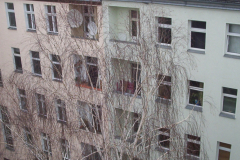 100_0522
