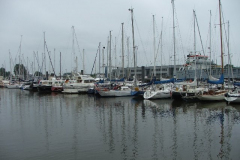 DSCF0001
