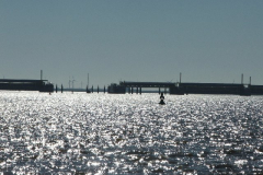 DSCF0260