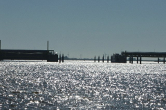 DSCF0263