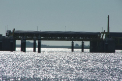 DSCF0264