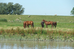DSCF0298
