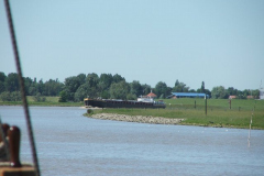 DSCF0311