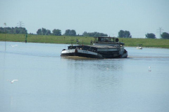 DSCF0340