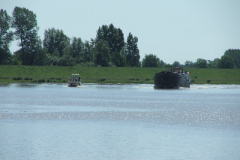 DSCF0345