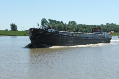 DSCF0347