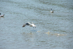 DSCF0349