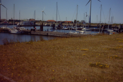 IMG00022