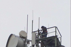 CIMG0018