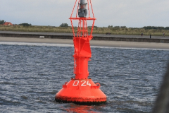 MG_0020