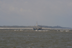MG_0029