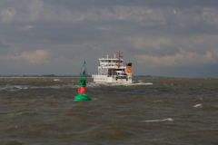 MG_0051
