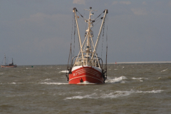 MG_0058