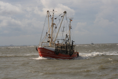 MG_0065