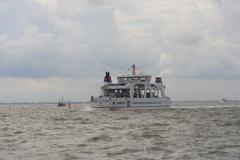 MG_0102