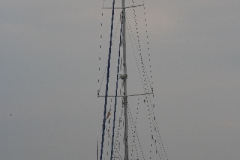 MG_0214